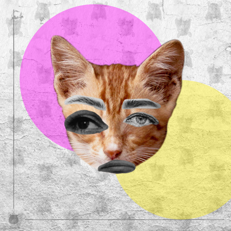 Kittenstein #35 static NFT preview