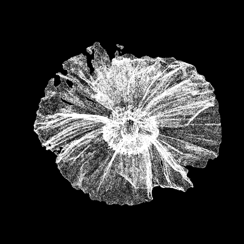 White Poppy 30 #207 static token preview