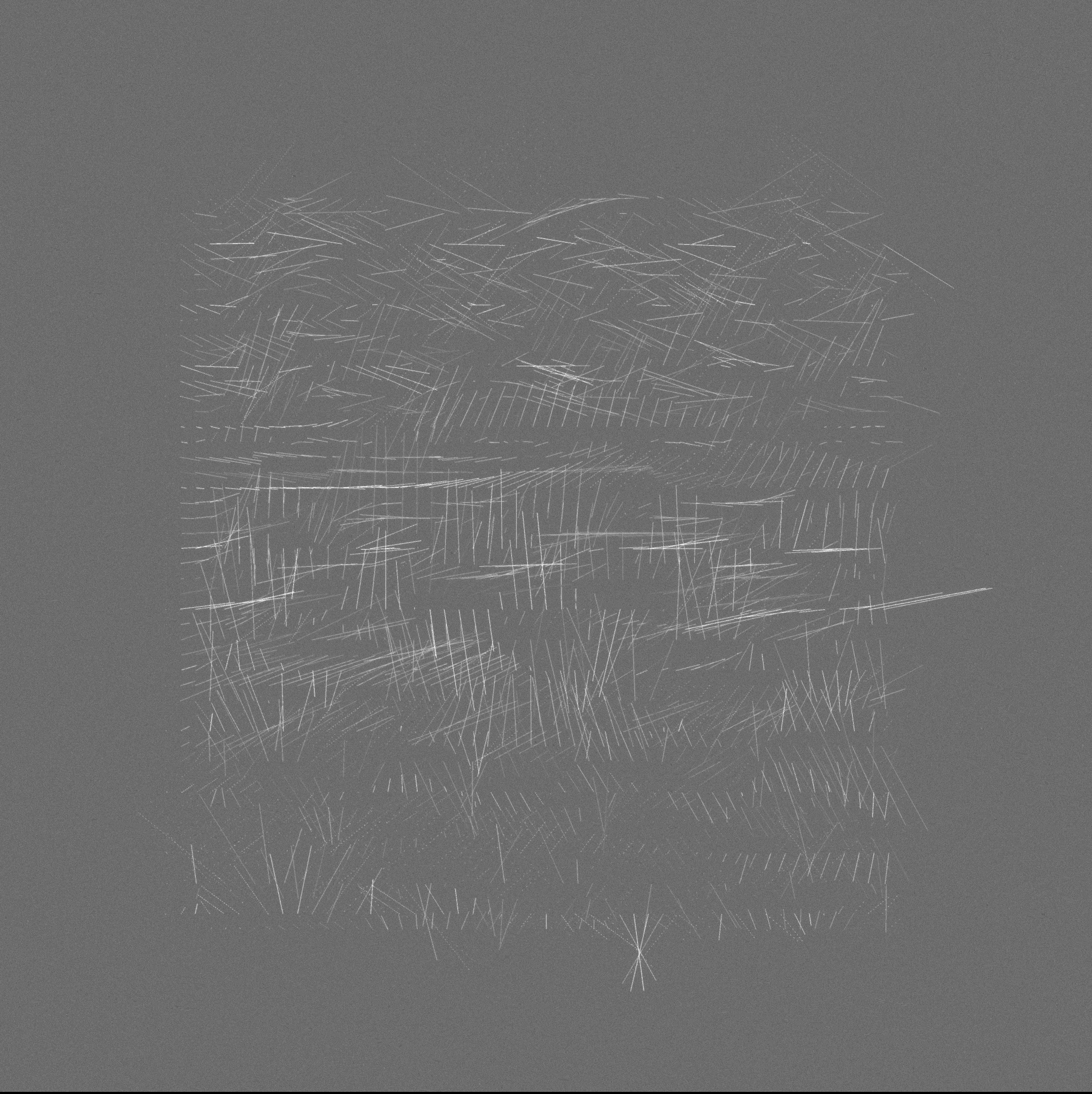 ecologías - A #212 static NFT preview