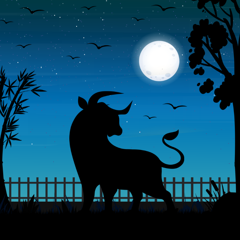 We Care...Bull #8 static token preview