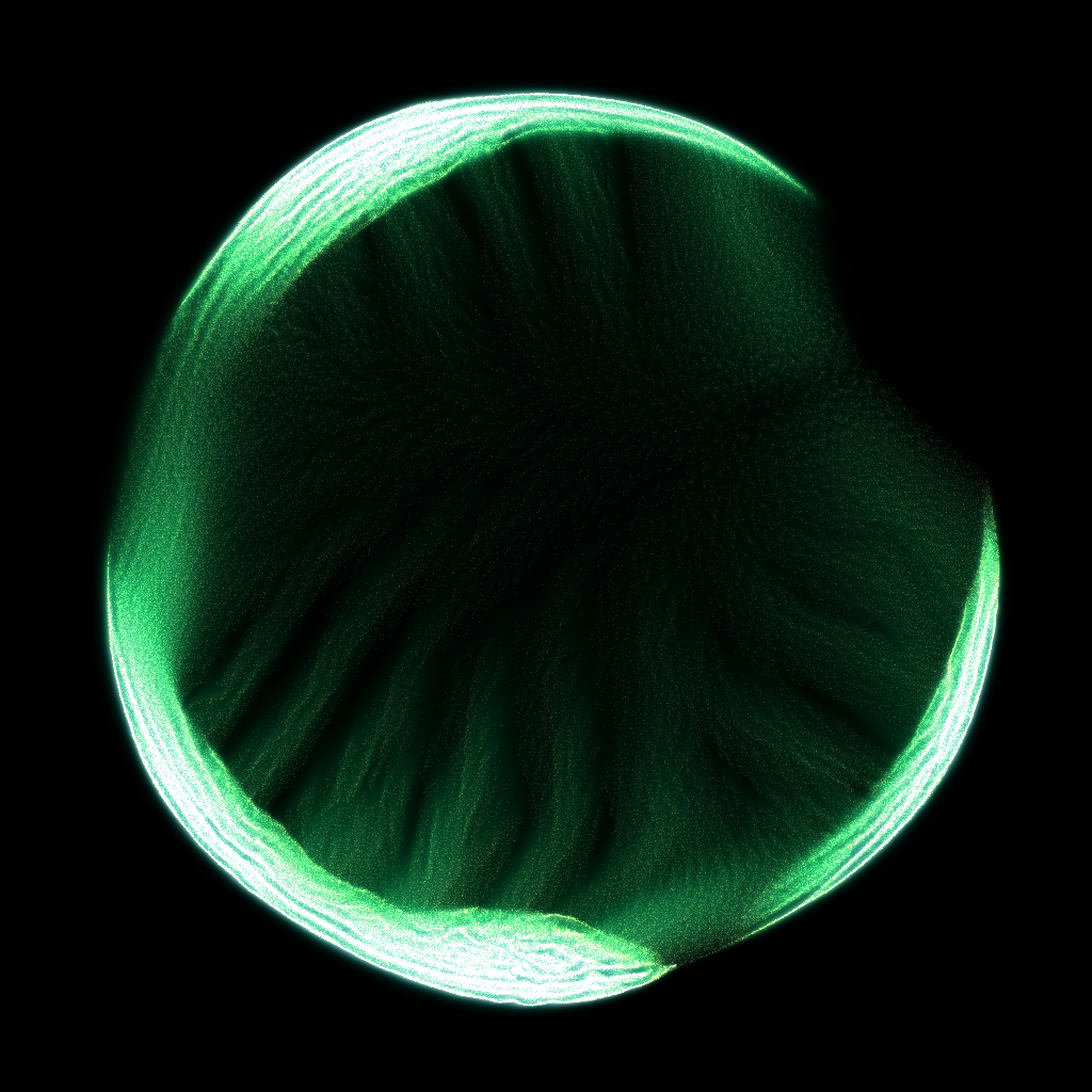 PETRI #39 static token preview
