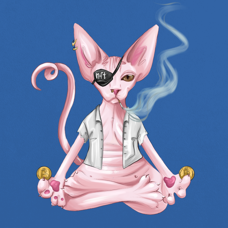 YogaCat #35 static NFT preview