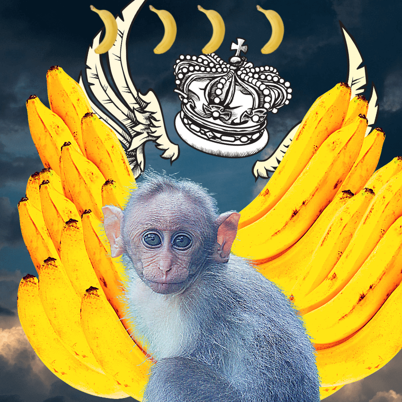 Banana gods #22 static token preview