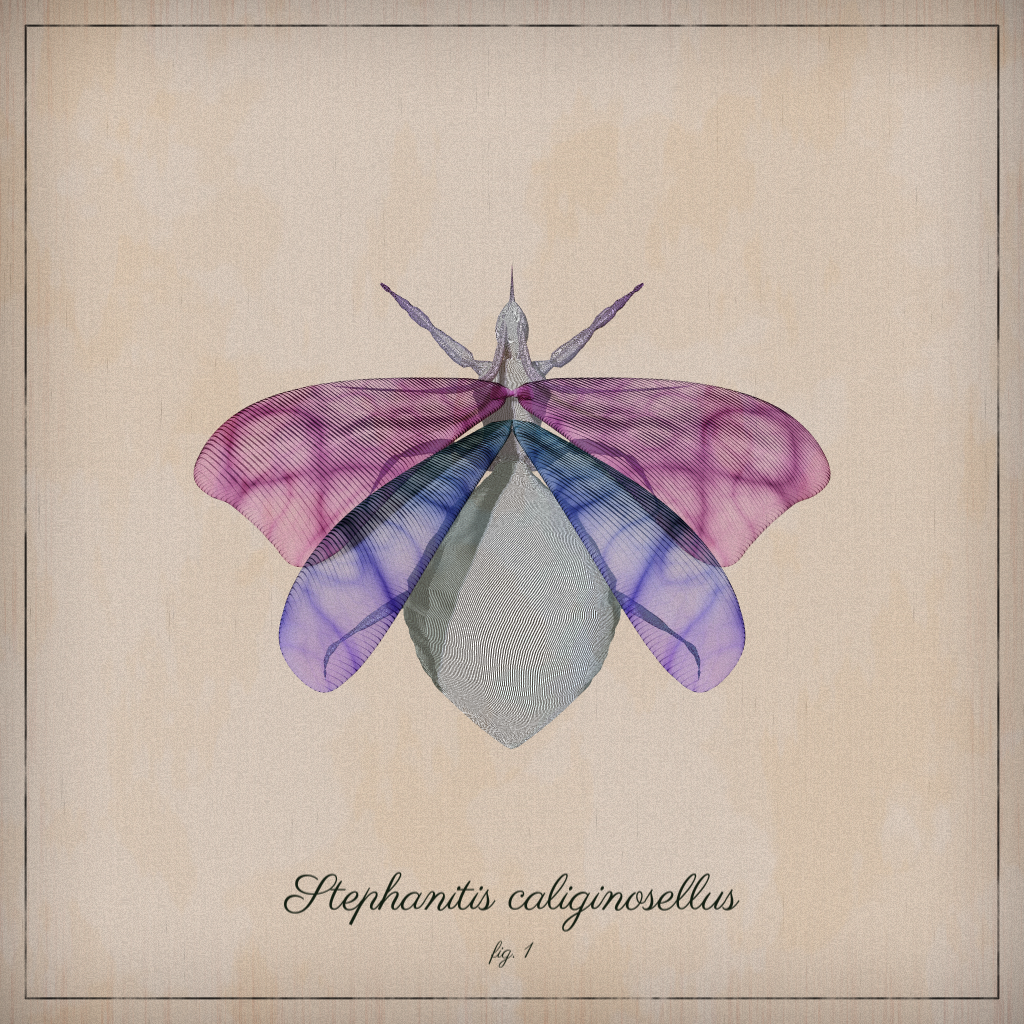 ProcGen Entomology #228 static NFT preview
