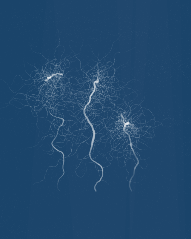 Cyanotypes #20 static token preview