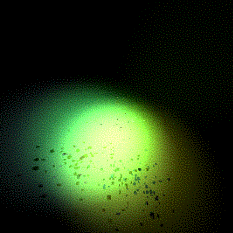 Moths #31 static NFT preview