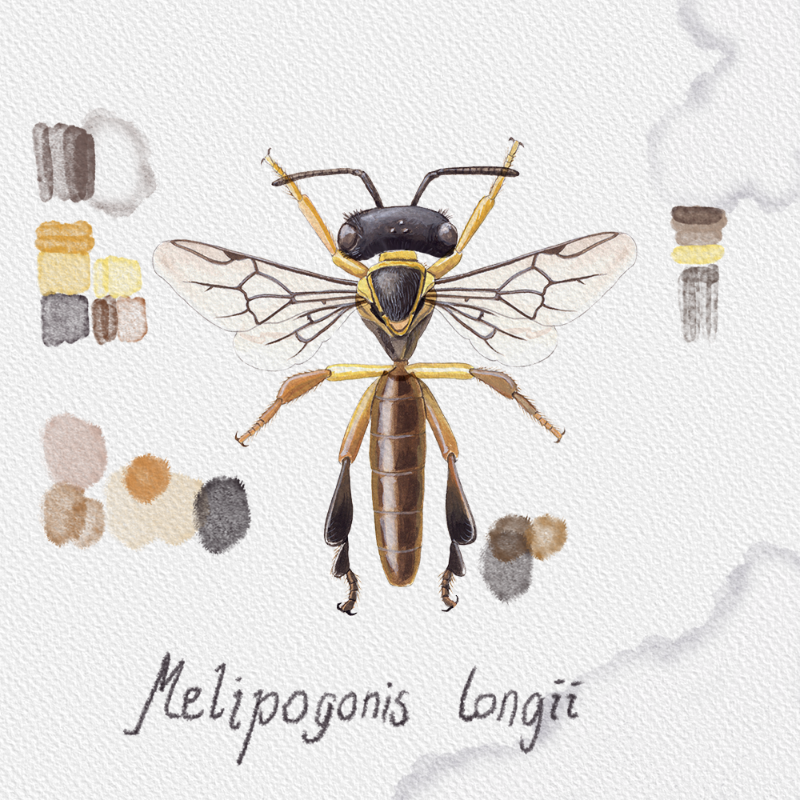 Randomic Brazilian Bees #35 static NFT preview