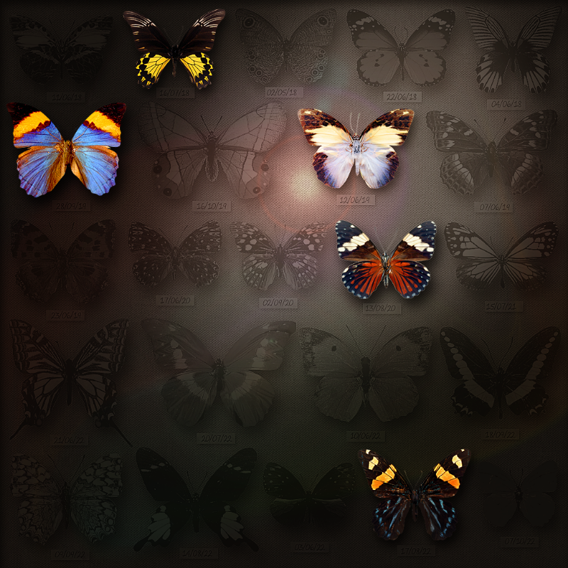 Save Butterfly World #33 static token preview