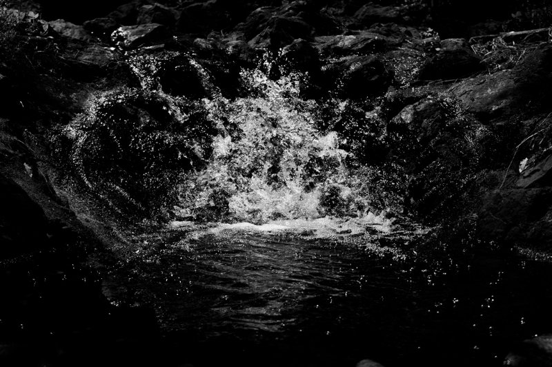 chasing waterfalls #12 static token preview