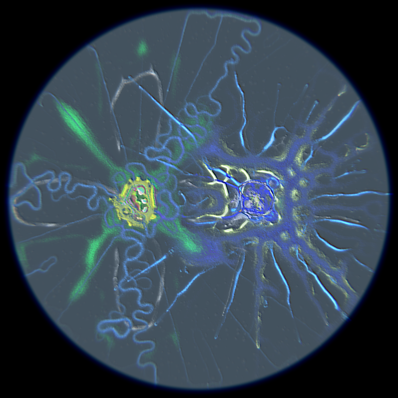 Ethereal Microcosm #94 static NFT preview