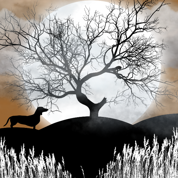 Moon and Life #26 static token preview