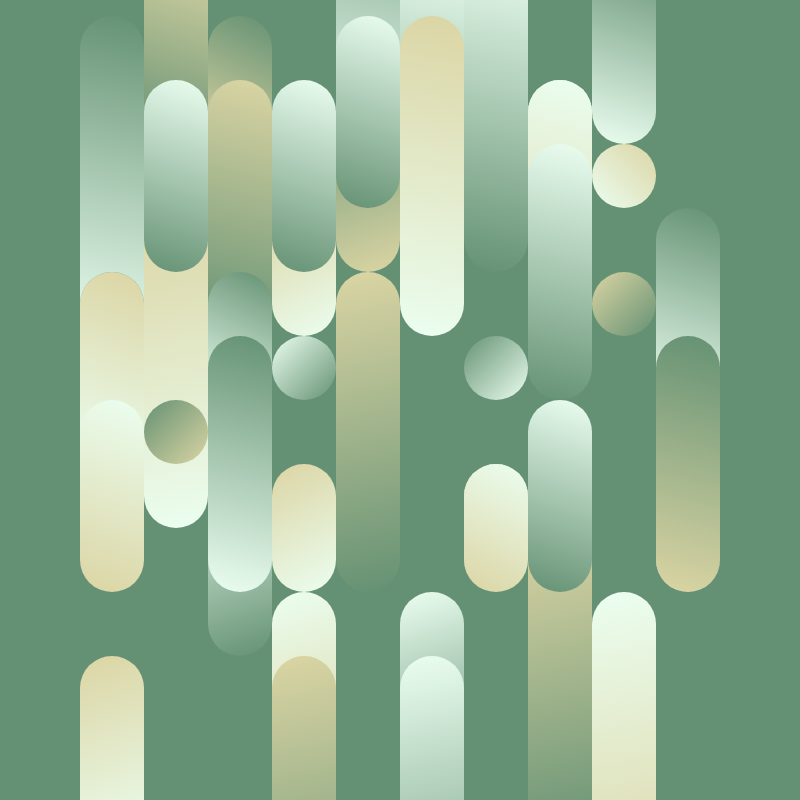 flow #11 static NFT preview