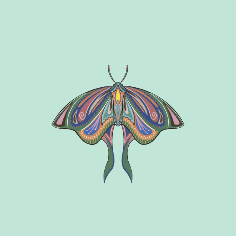 The Moth Experiment 2.0 P2 #14 static NFT preview