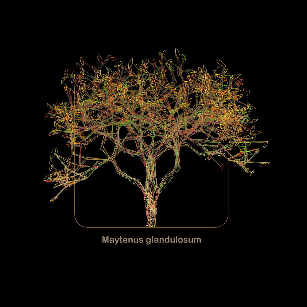 Fluidynamix - Trees #107 static NFT preview