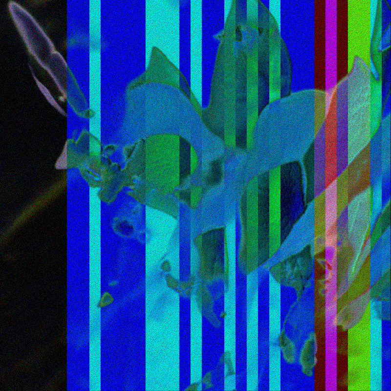 CLDCSMC #108 static NFT preview
