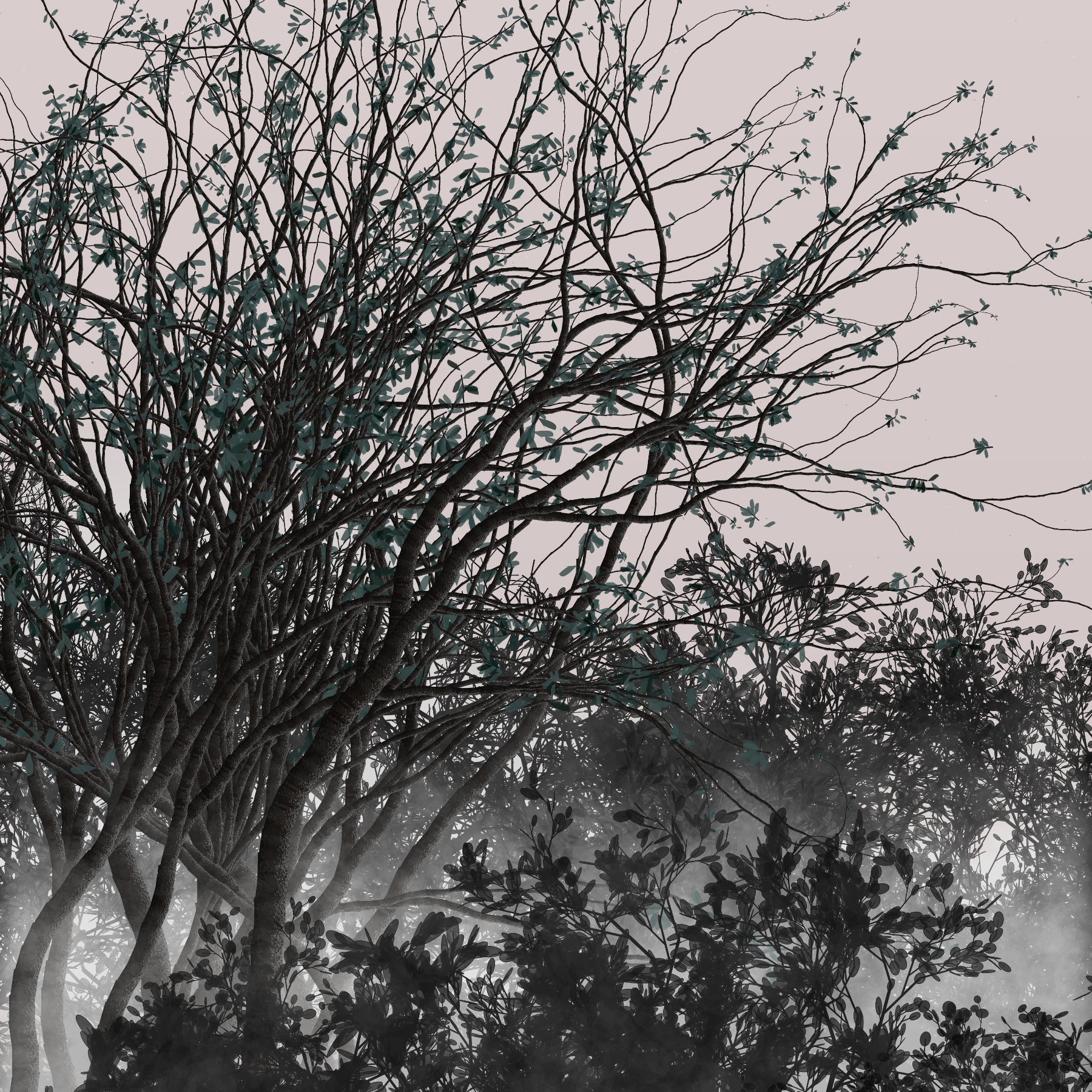 Morning Mist #33 static token preview