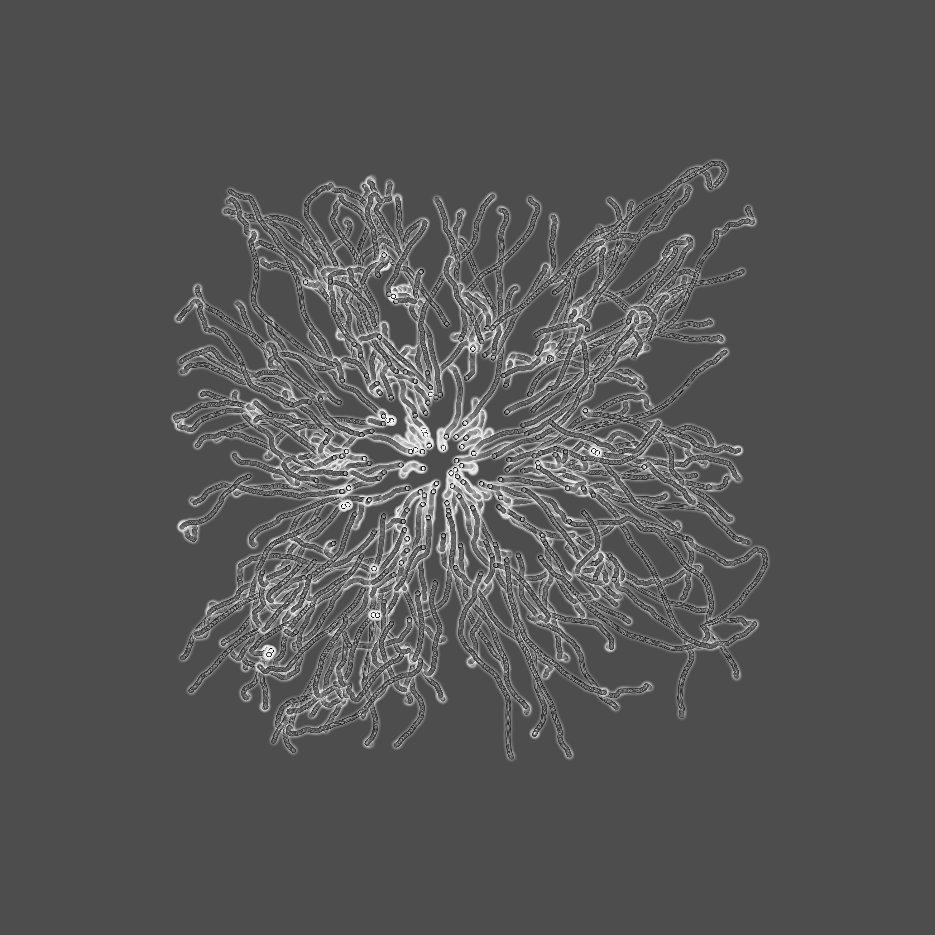 grey fungi wisdom #135 static token preview
