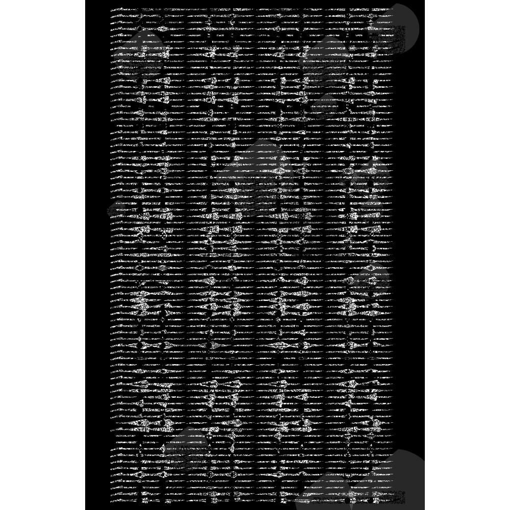 Etude B&W #220 static NFT preview