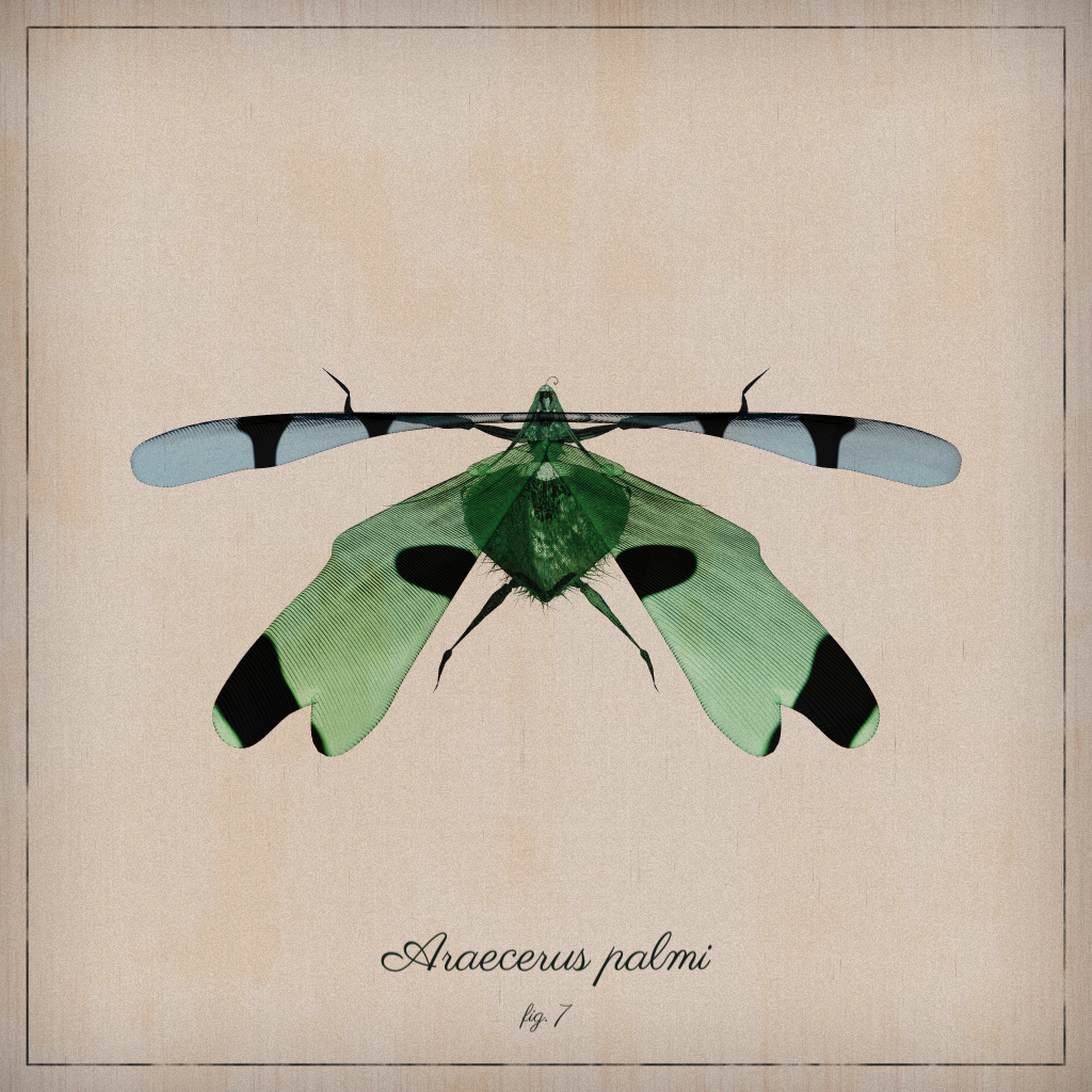 ProcGen Entomology #389 static NFT preview