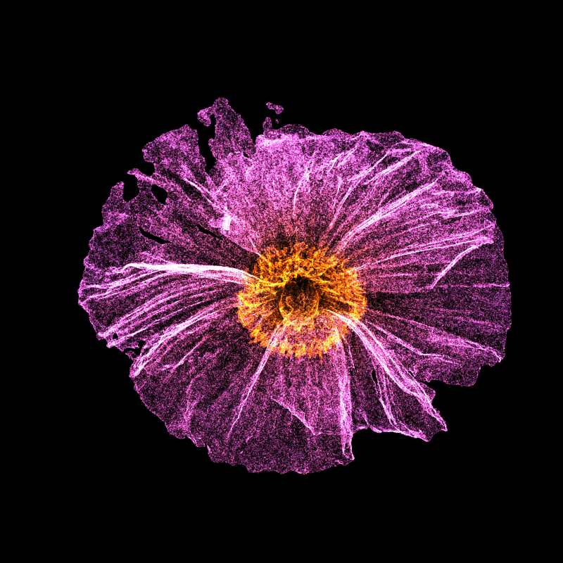 White Poppy 30 #95 static token preview