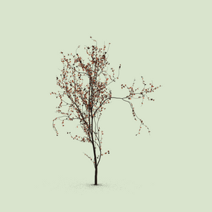 Little Trees #227 static NFT preview