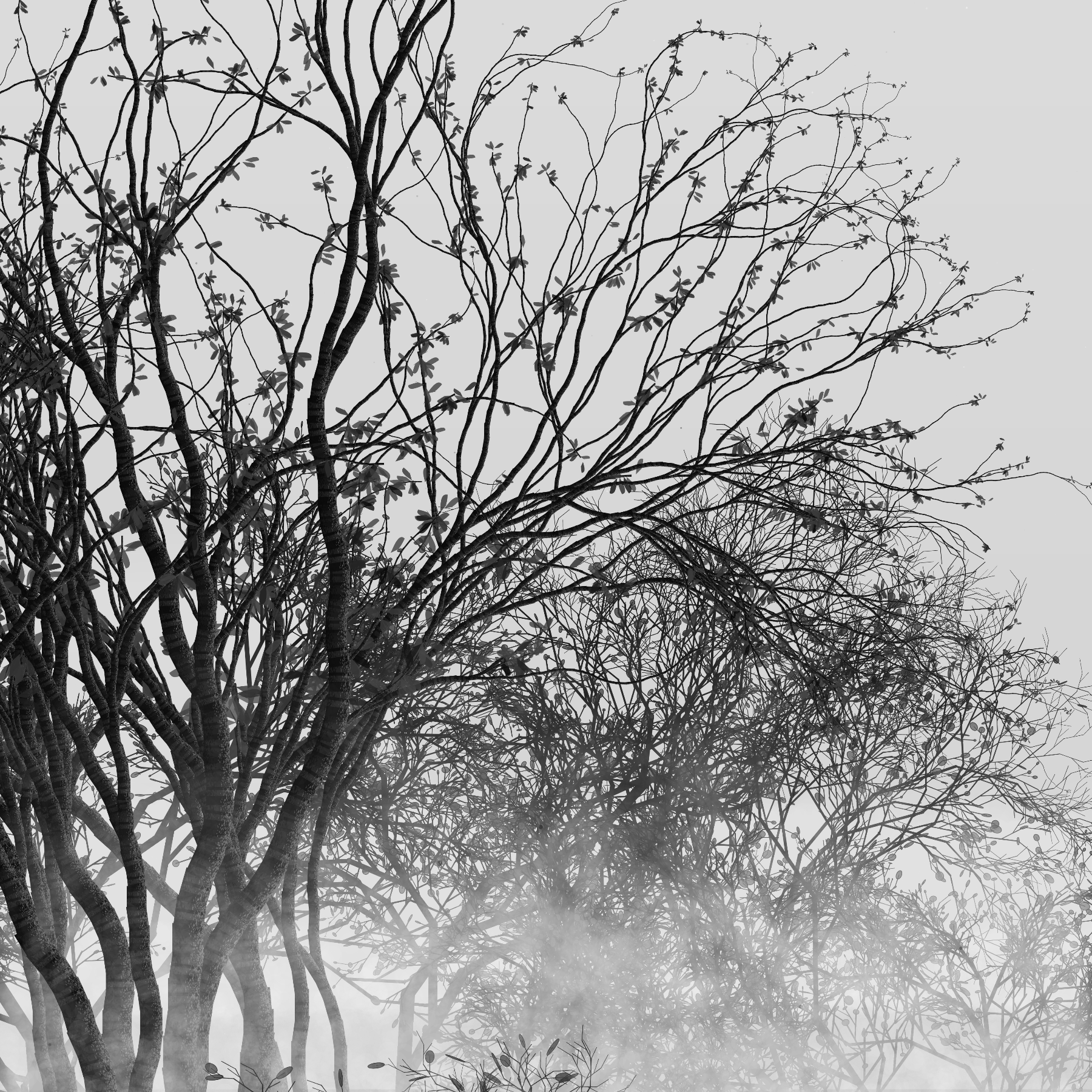 Morning Mist #80 static token preview