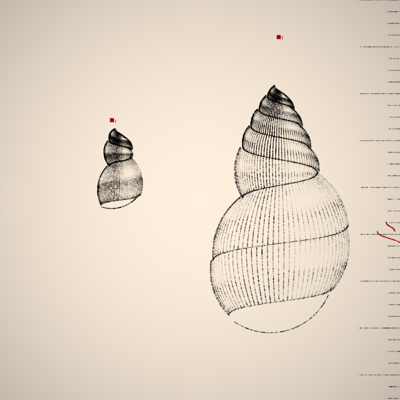 Two Specimen #189 static token preview