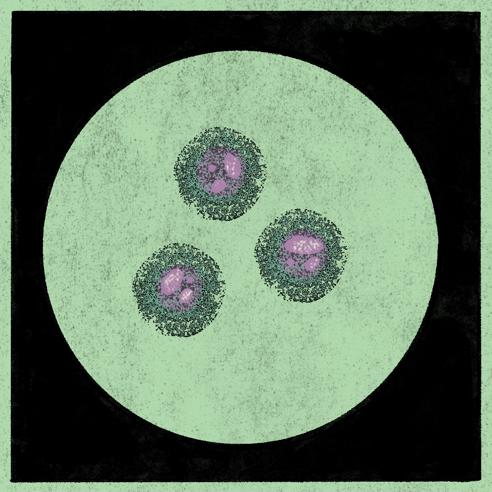 Microbes #142 static token preview