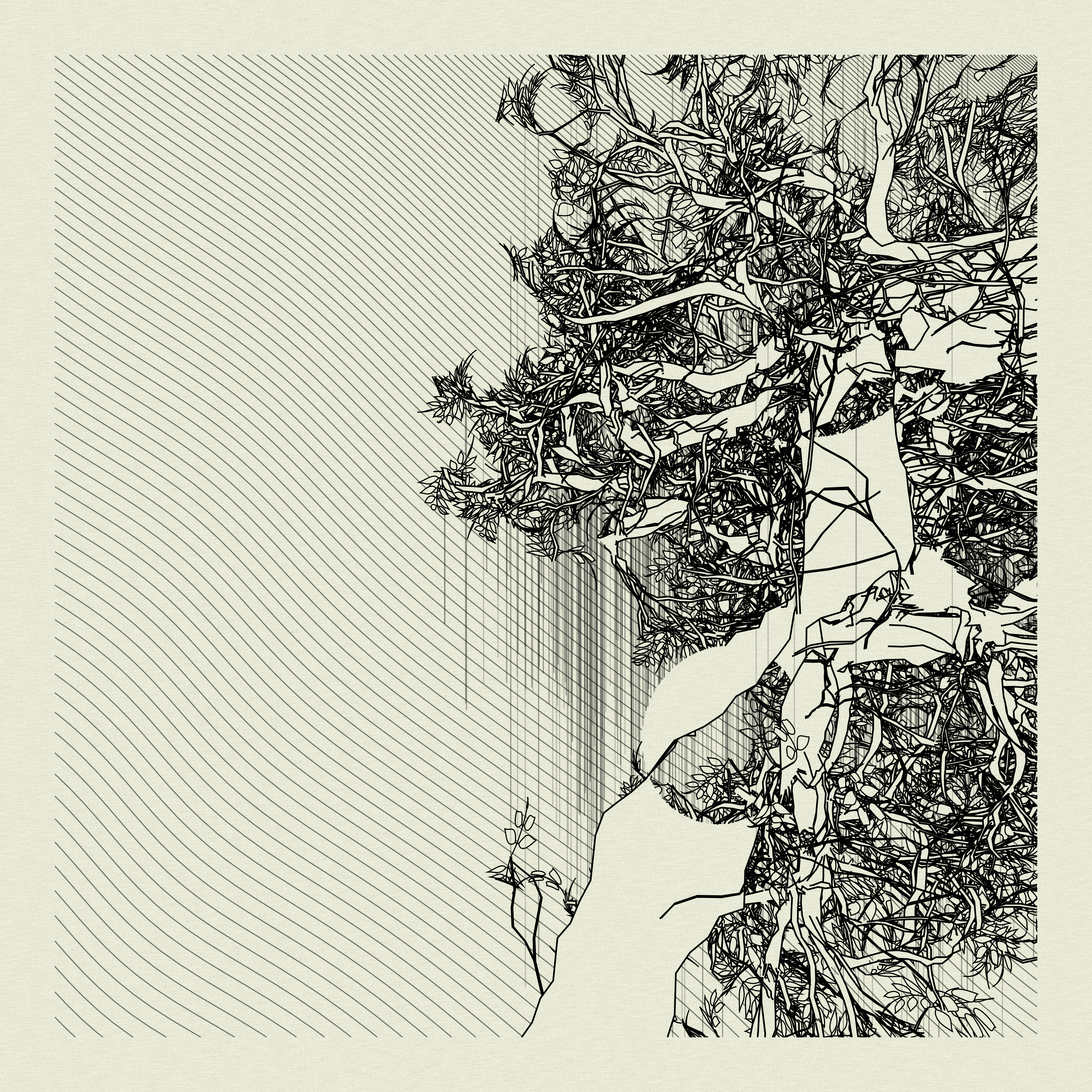 A Bugged Forest #463 static token preview