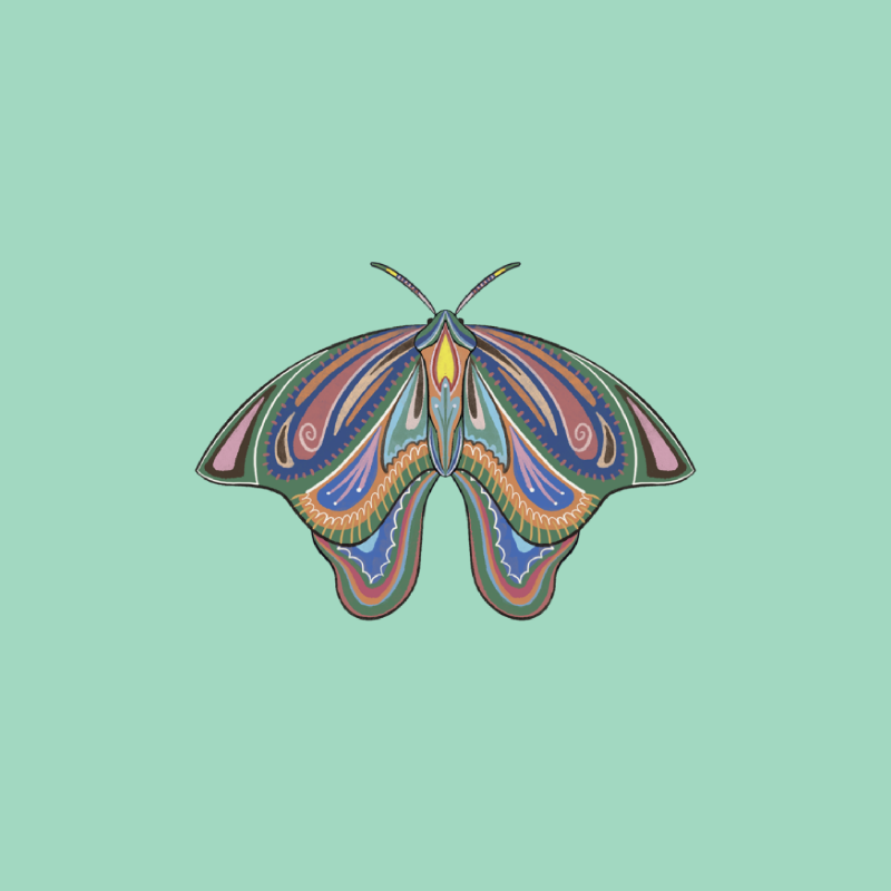 The Moth Experiment 2.0 P1 #22 static token preview