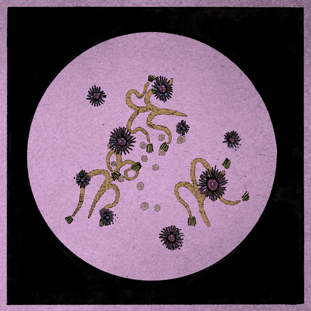 Microbes #67 static token preview