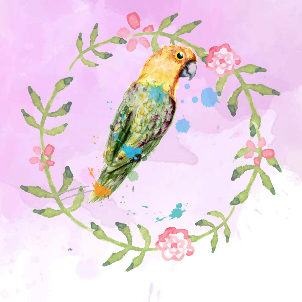Random Tropical Birds #7 static NFT preview