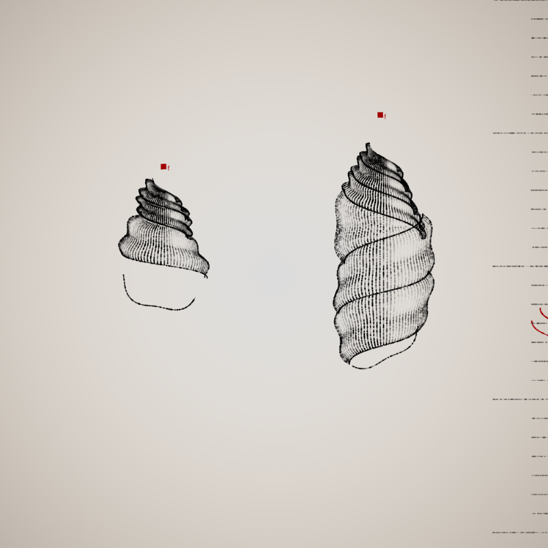 Two Specimen #491 static NFT preview