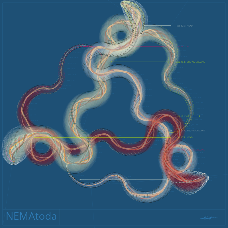 NEMA #5 static token preview