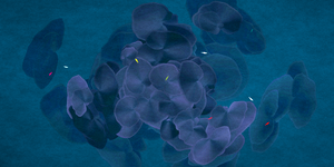 The Restoration Scheme: Reefs project preview