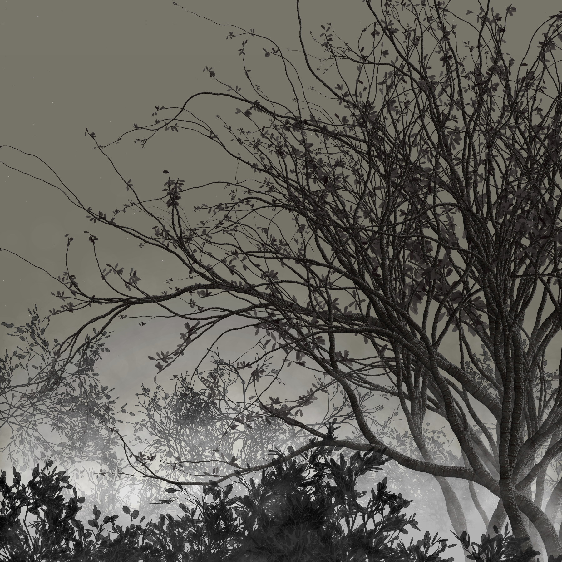 Morning Mist #182 static token preview