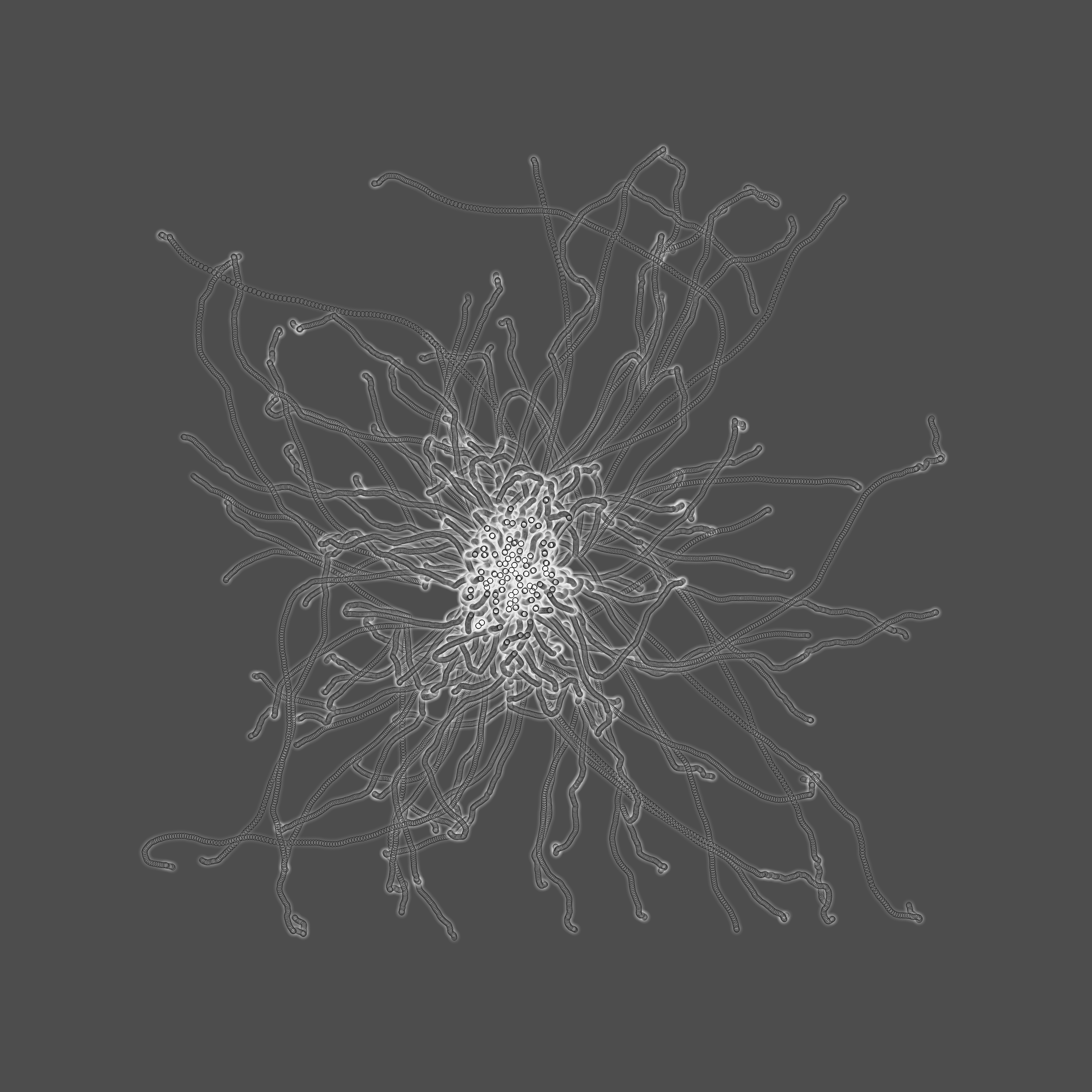 grey fungi wisdom #70 static token preview
