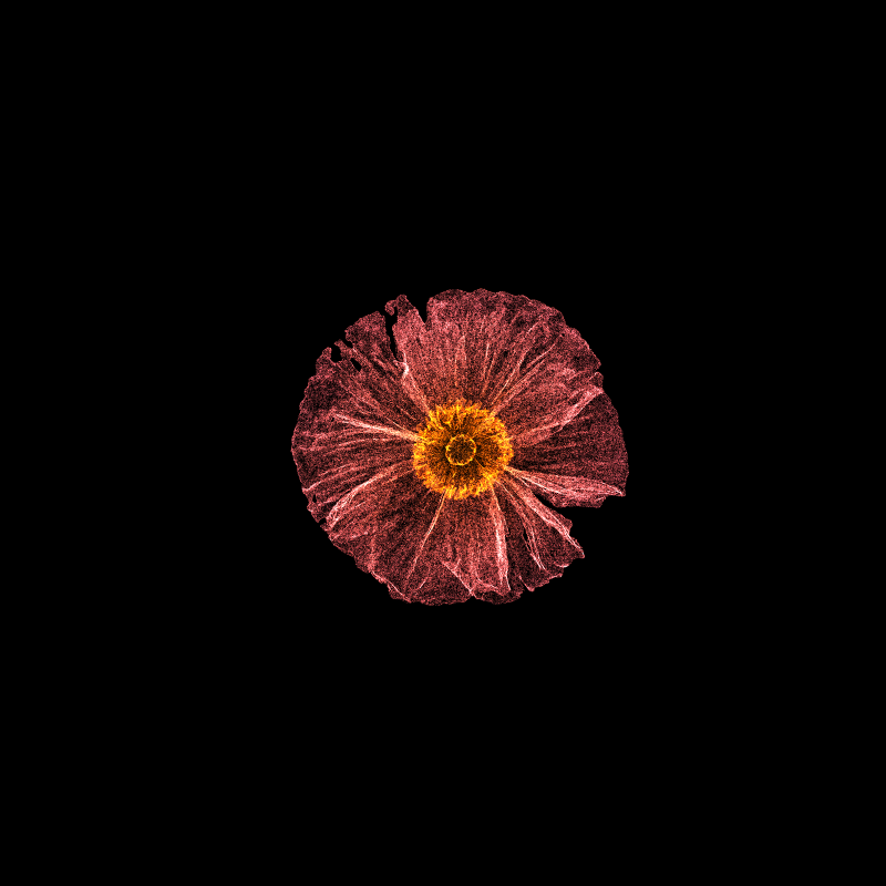White Poppy 30 #33 static token preview