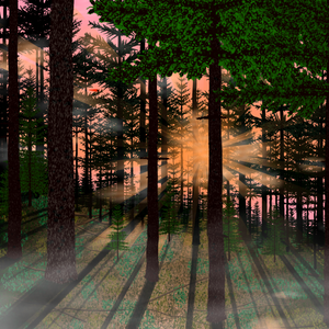 Forest Sunrise project preview