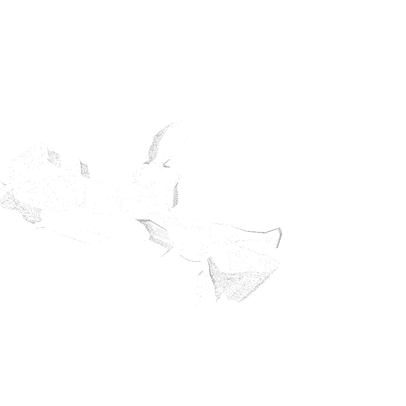 traces #32 static NFT preview