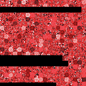 disaster project preview