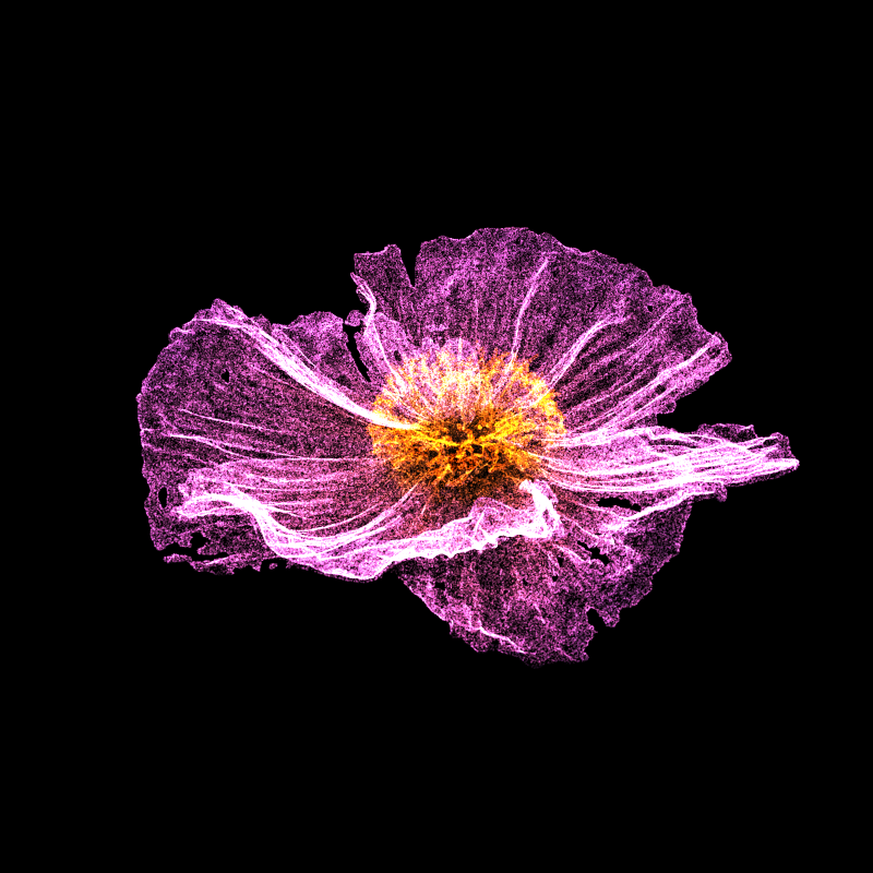 White Poppy 30 #180 static token preview