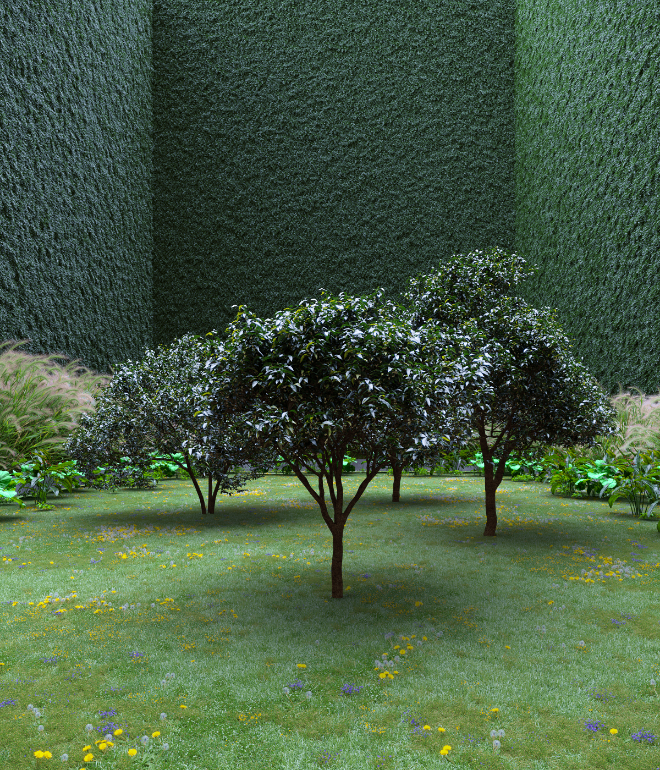 Garden of Imagination #60 static token preview