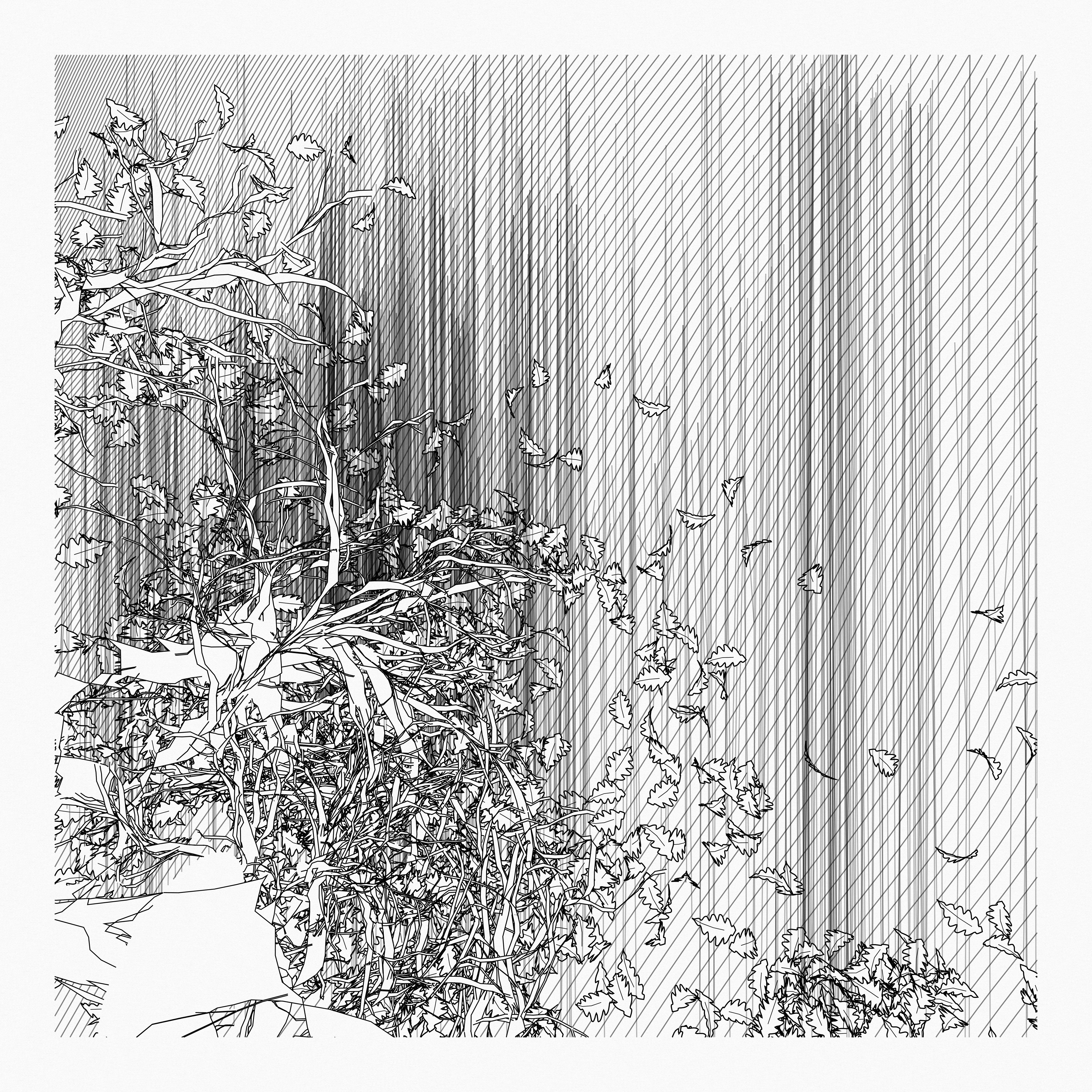 A Bugged Forest #897 static token preview
