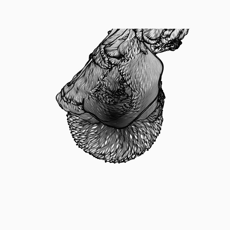 Curtain #15 static token preview
