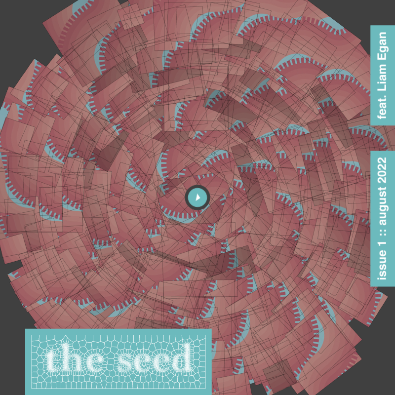 The seed :: issue 1 #87 static token preview