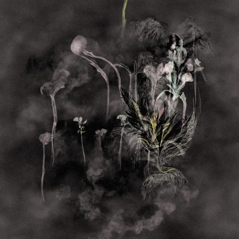 Hauntological Herbarium #56 static token preview