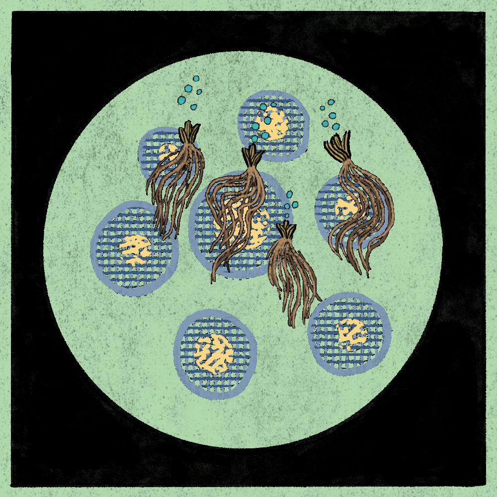 Microbes #222 static NFT preview