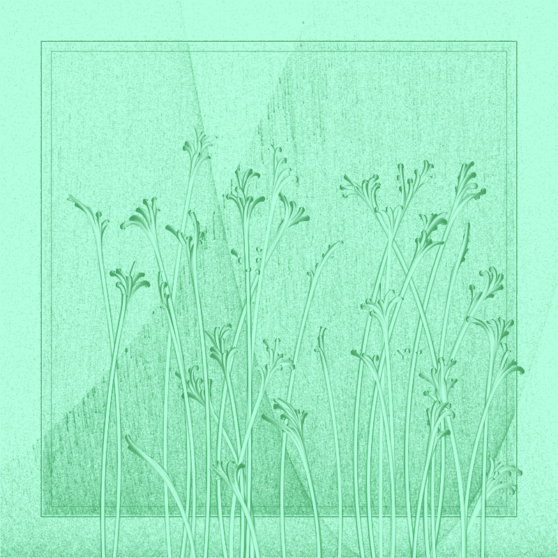 string_pllu #67 static NFT preview