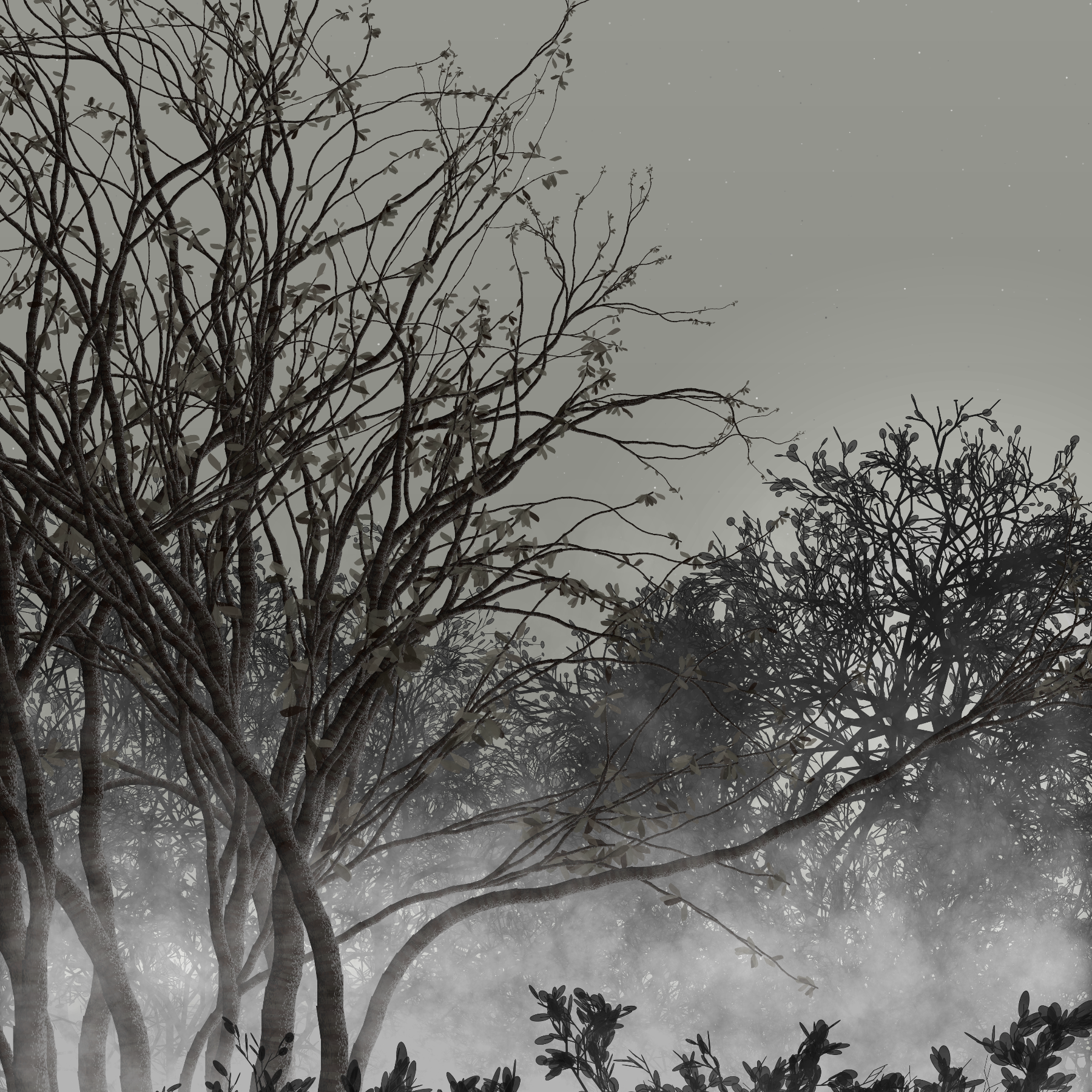 Morning Mist #262 static token preview